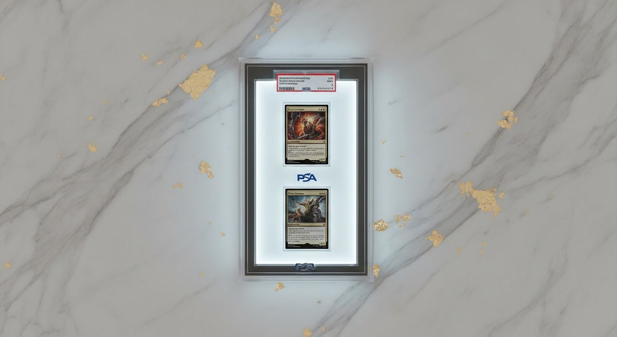 MTG Graded Card Display Guide